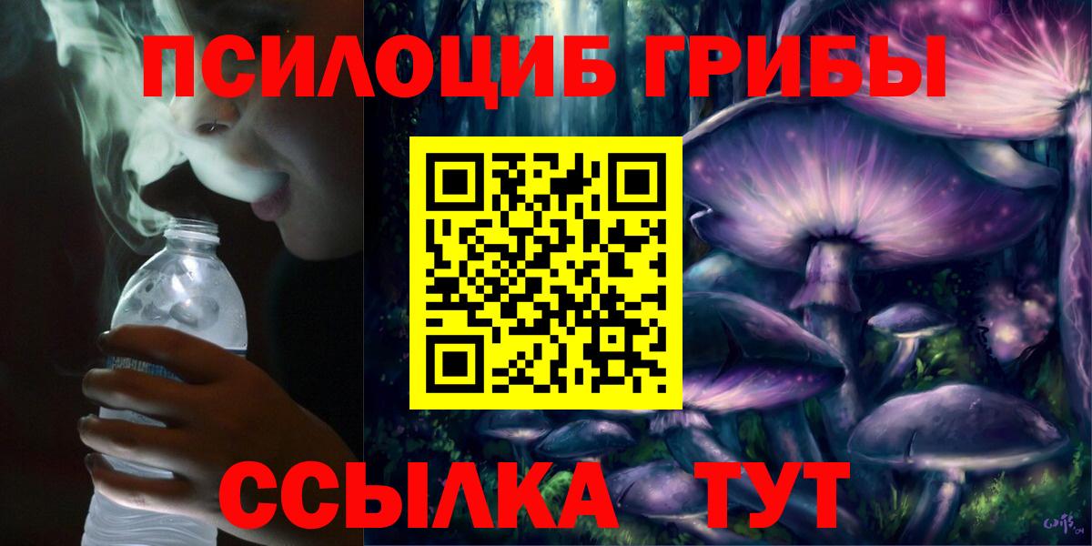 Псилоцибиновые грибы Psilocybine cubensis Усть-Илимск